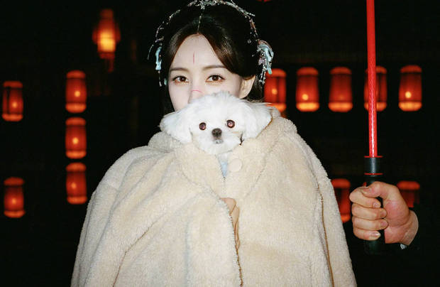 李一桐裹着毛绒外套，抱着小狗，画面温馨可爱。