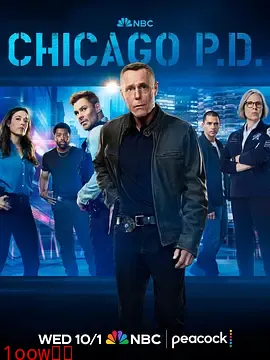芝加哥警署第十三季